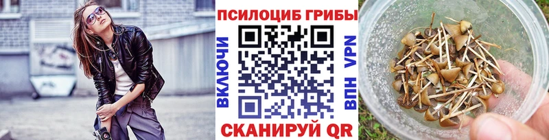 kraken как войти  Бавлы  Псилоцибиновые грибы прущие грибы 